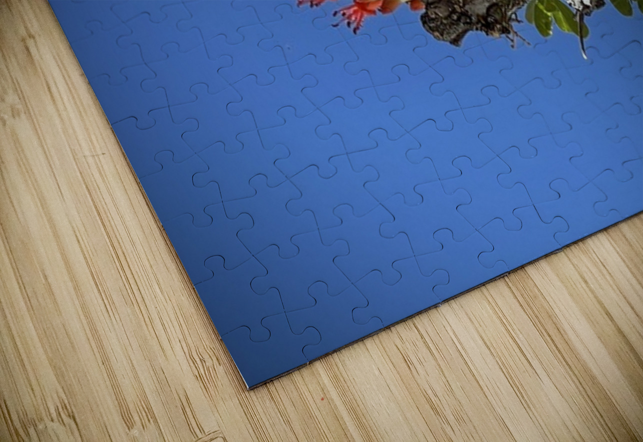 Ocotillo Bloom Leslie Affeldt Photography Puzzle