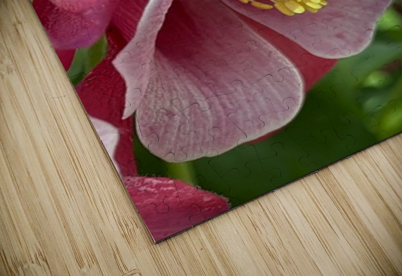 Columbine Bloom Leslie Affeldt Photography Puzzle