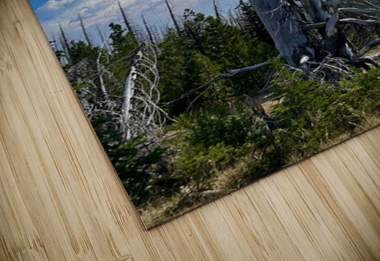 Forest of the dead Leslie Affeldt Photography Puzzle