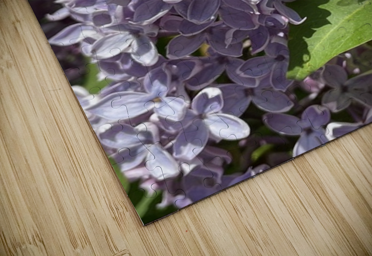 Bee-live  Leslie Affeldt Photography Puzzle