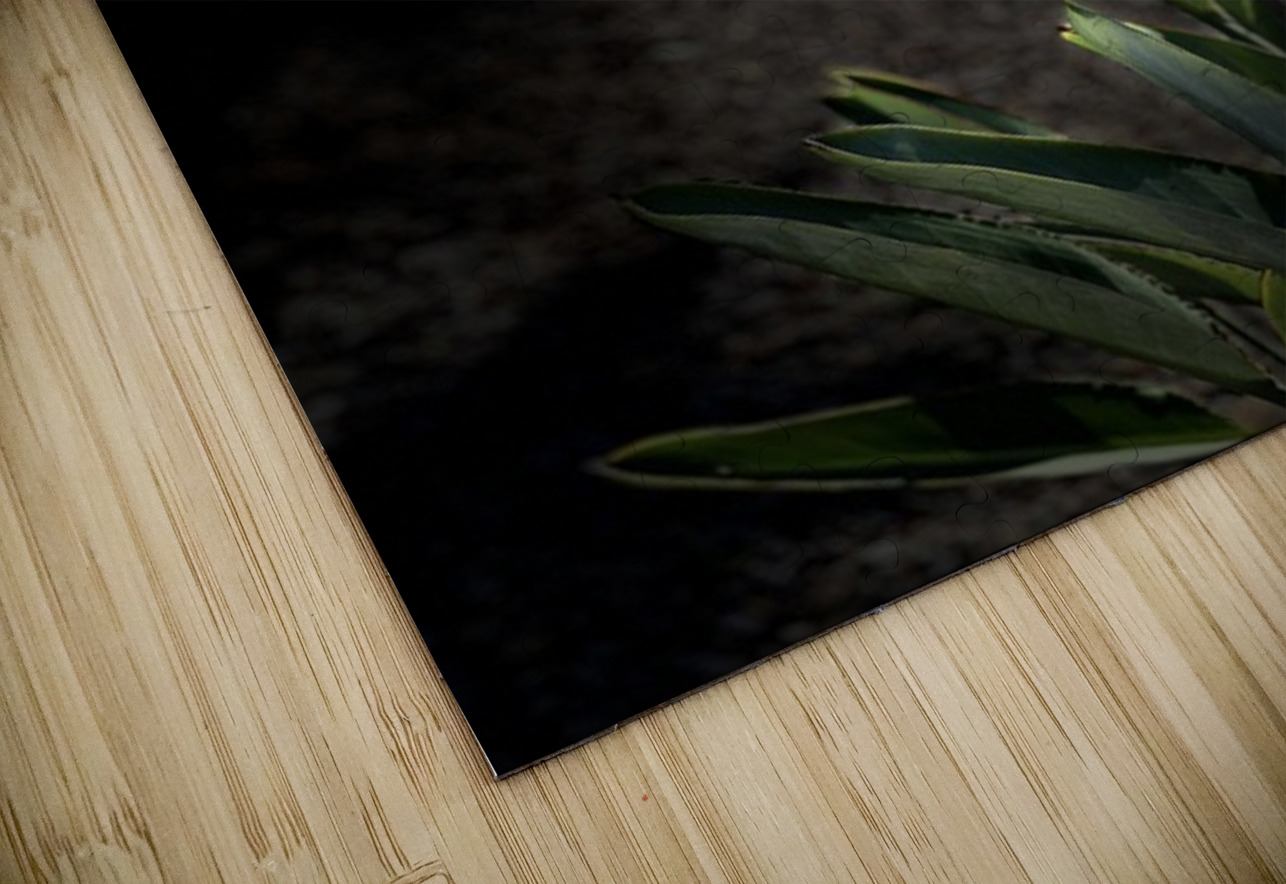 Bird of Paradise Leslie Affeldt Photography Puzzle