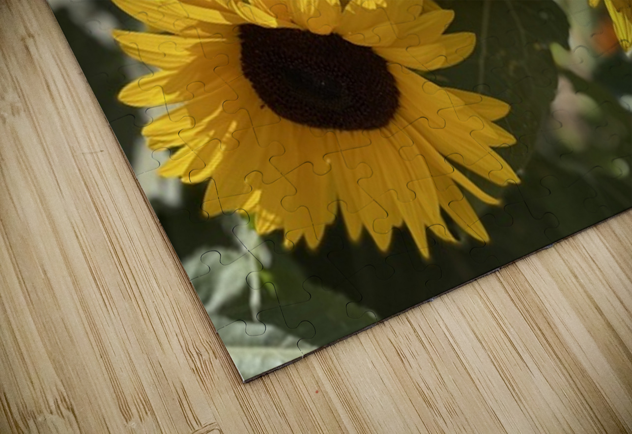 Happy Sunflowers Leslie Affeldt Photography Puzzle