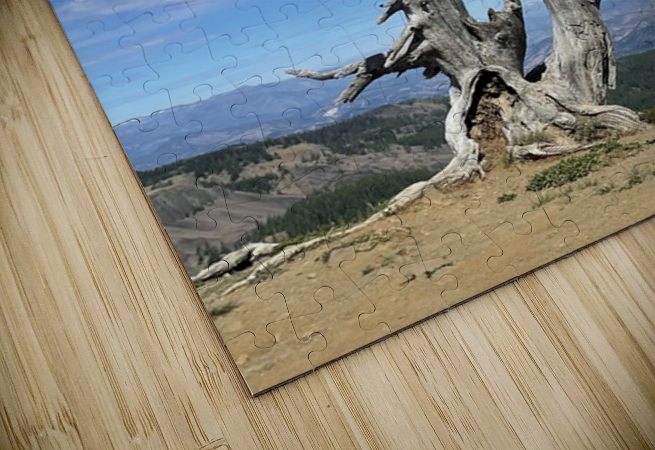 Tree overlooking Wenatchee Leslie Affeldt Photography Puzzle