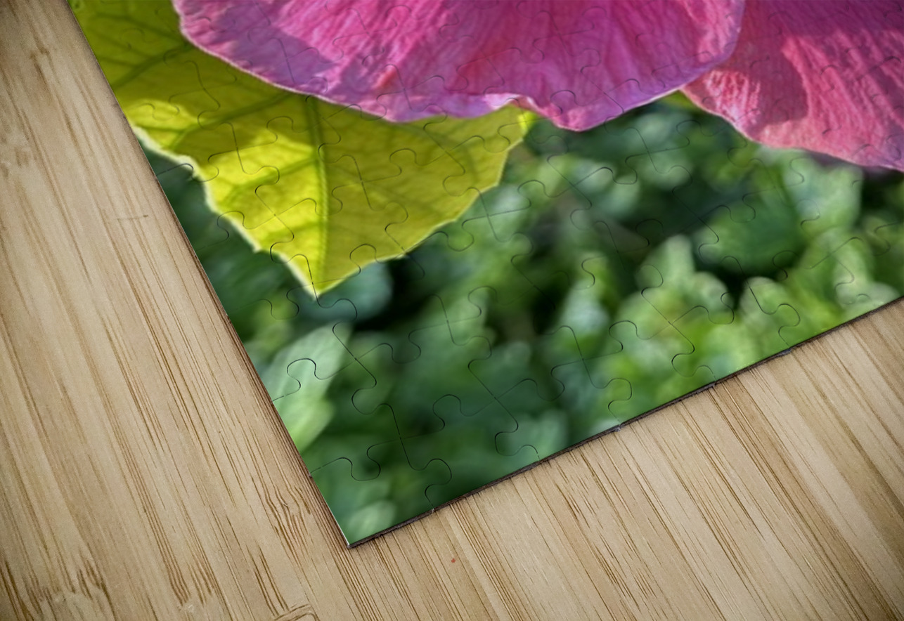 Pink Hibiscus Leslie Affeldt Photography Puzzle