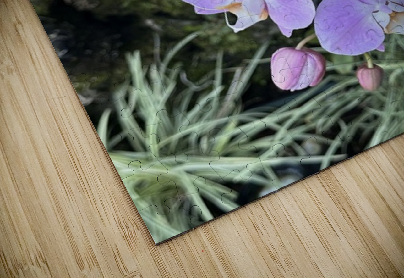 Orchid Leslie Affeldt Photography Puzzle