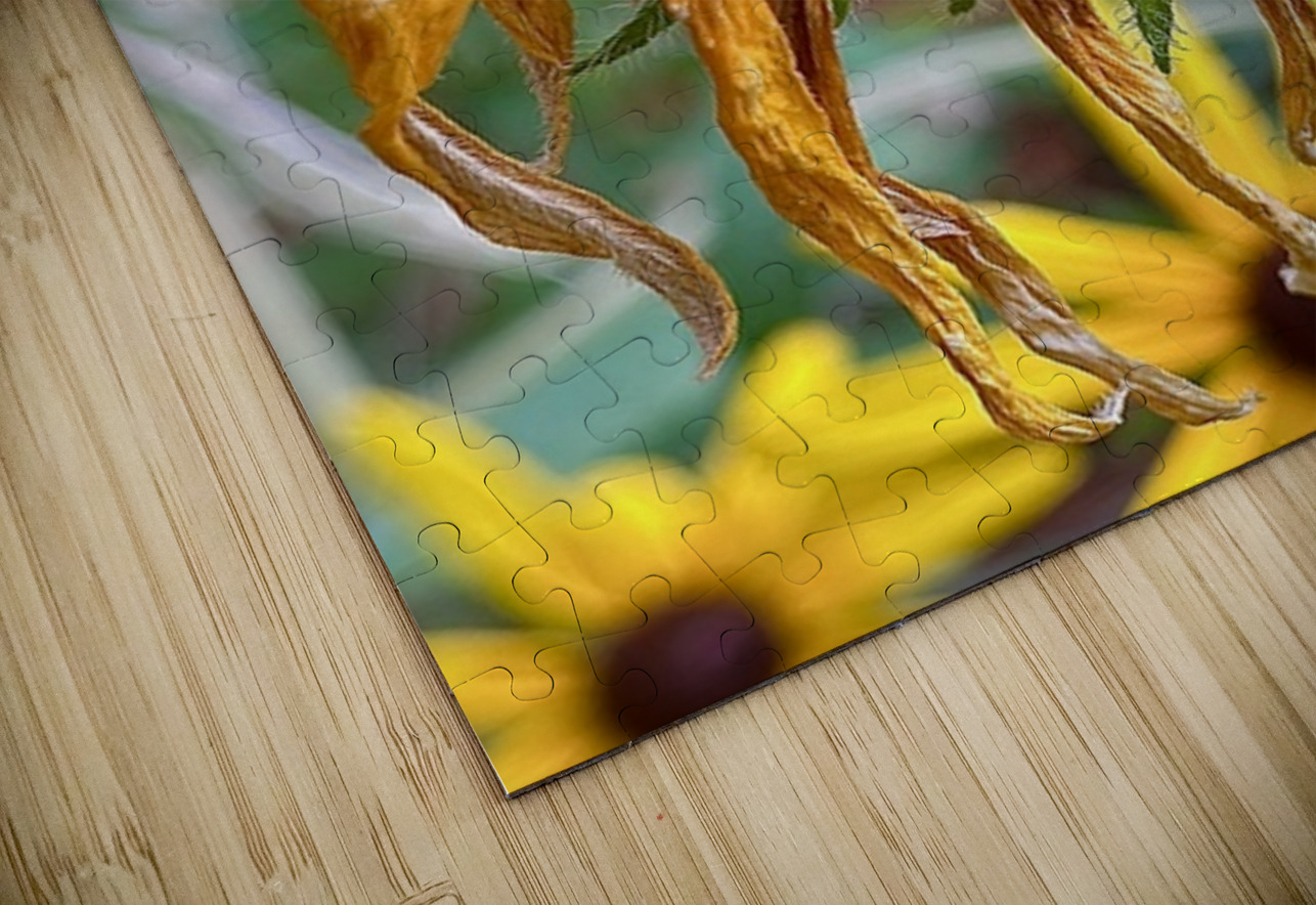 Time Served Leslie Affeldt Photography Puzzle