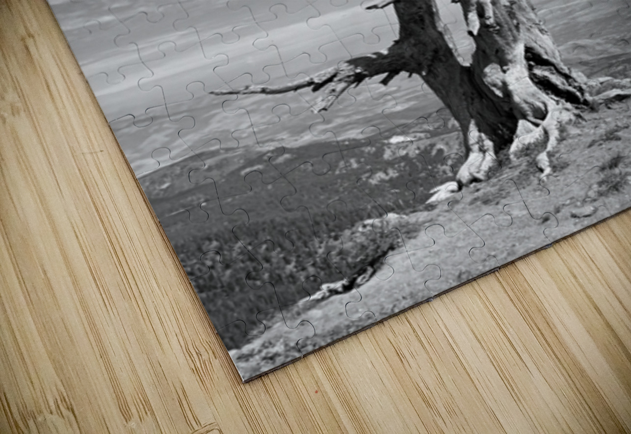 Wenatchee Overlook - black and white Leslie Affeldt Photography Puzzle