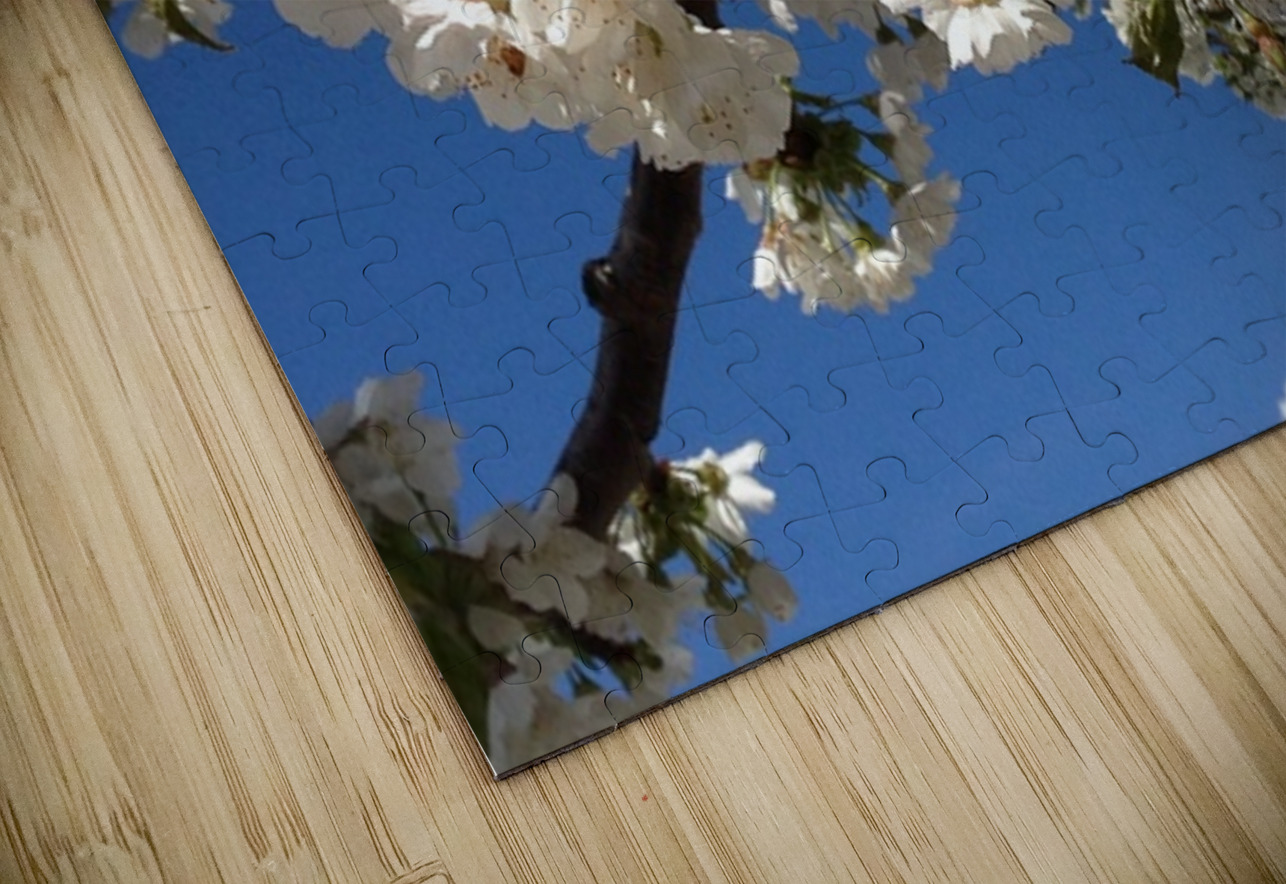 White Cherry Blossom -2 Leslie Affeldt Photography Puzzle