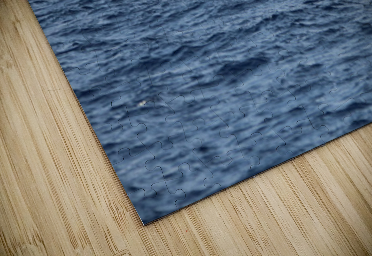 IMG 3367 Leslie Affeldt Photography Puzzle