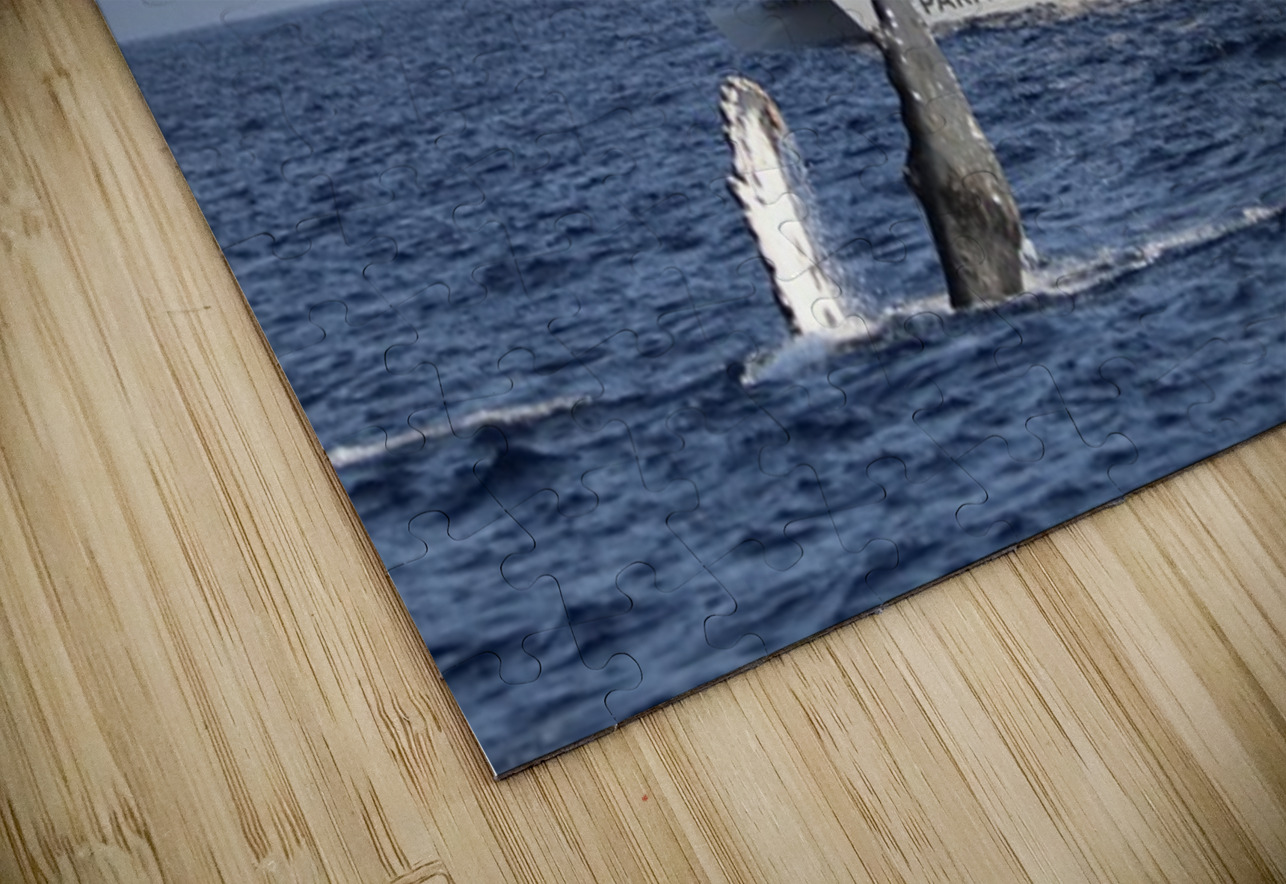 IMG 3372 Leslie Affeldt Photography Puzzle