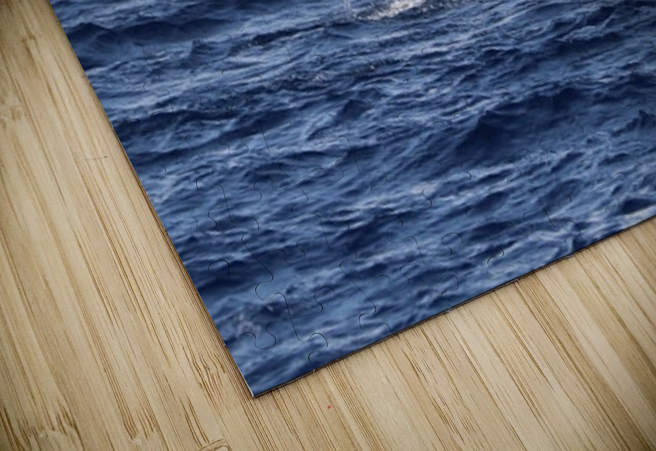 IMG 3379 Leslie Affeldt Photography Puzzle