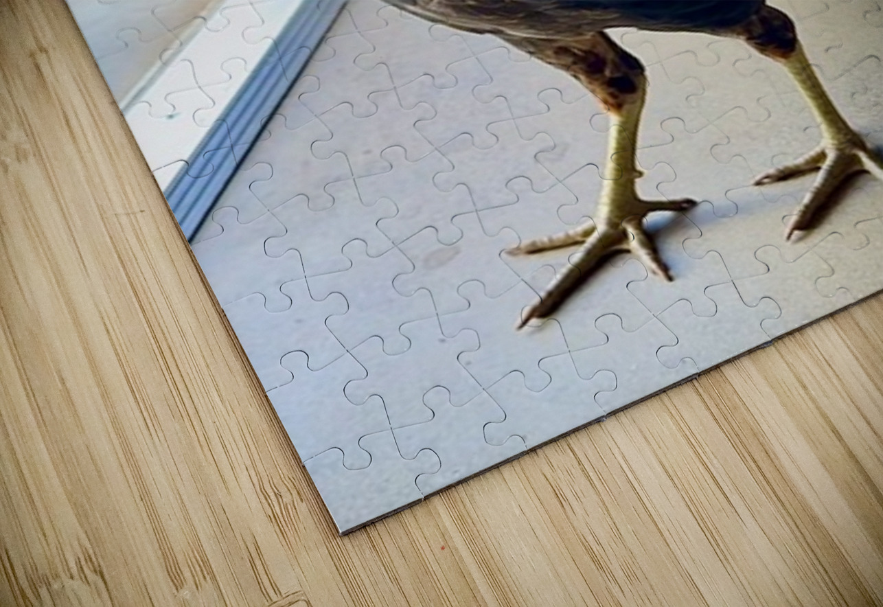 Hello can I help you  Leslie Affeldt Photography Puzzle