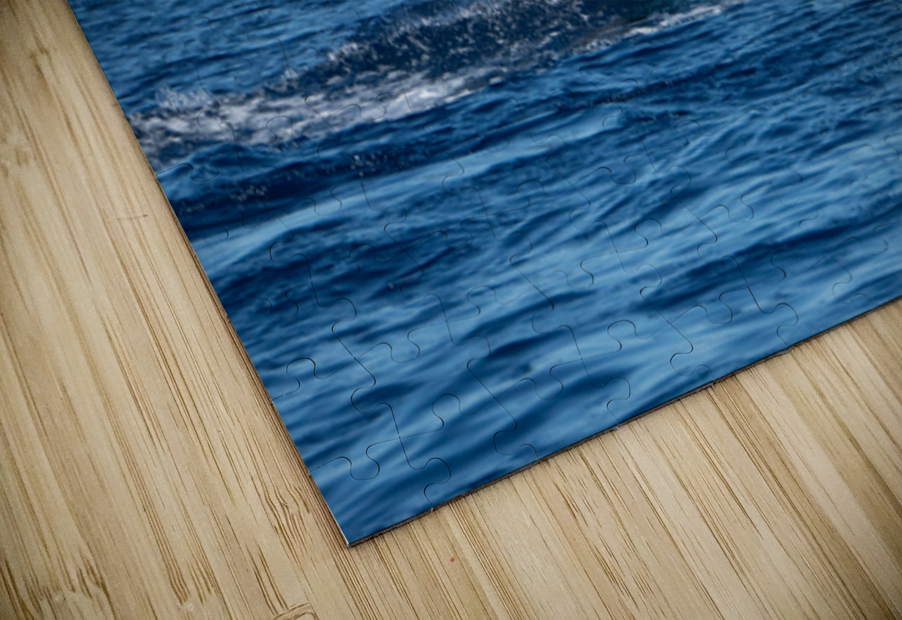 DSC09153 Leslie Affeldt Photography Puzzle