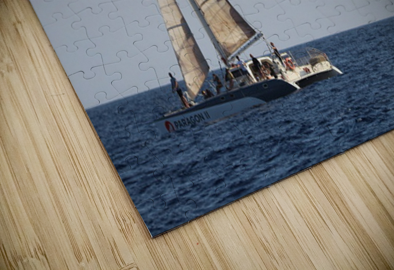 IMG 3371 Leslie Affeldt Photography Puzzle