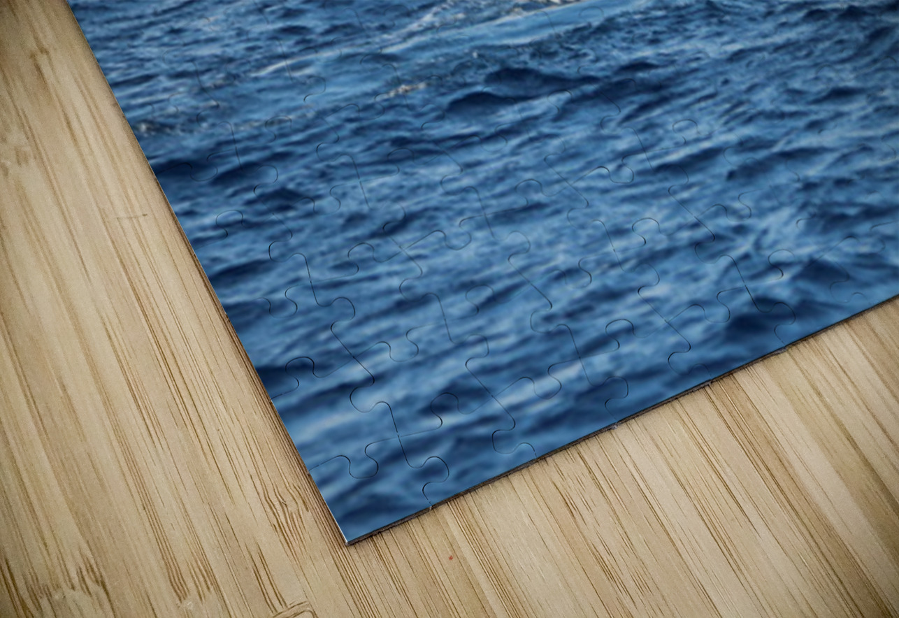 IMG 3391 Leslie Affeldt Photography Puzzle