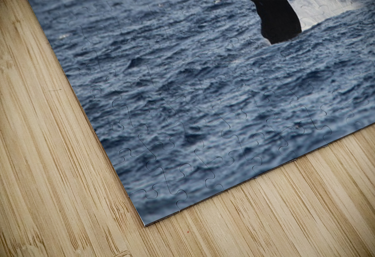 IMG 3364 Leslie Affeldt Photography Puzzle