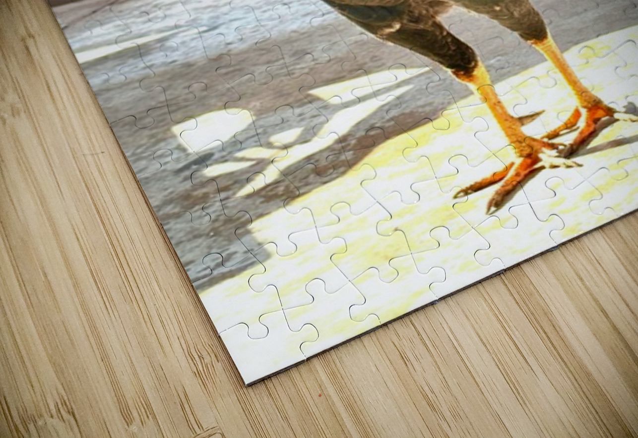 IMG 1103 Copy Leslie Affeldt Photography Puzzle