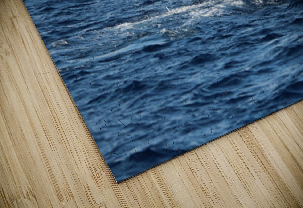 IMG 3392 Leslie Affeldt Photography Puzzle