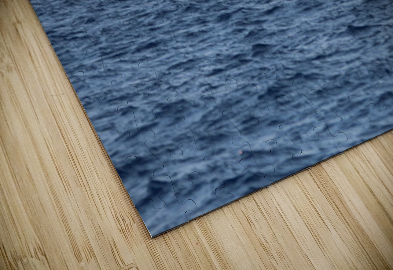 IMG 3369 Leslie Affeldt Photography Puzzle