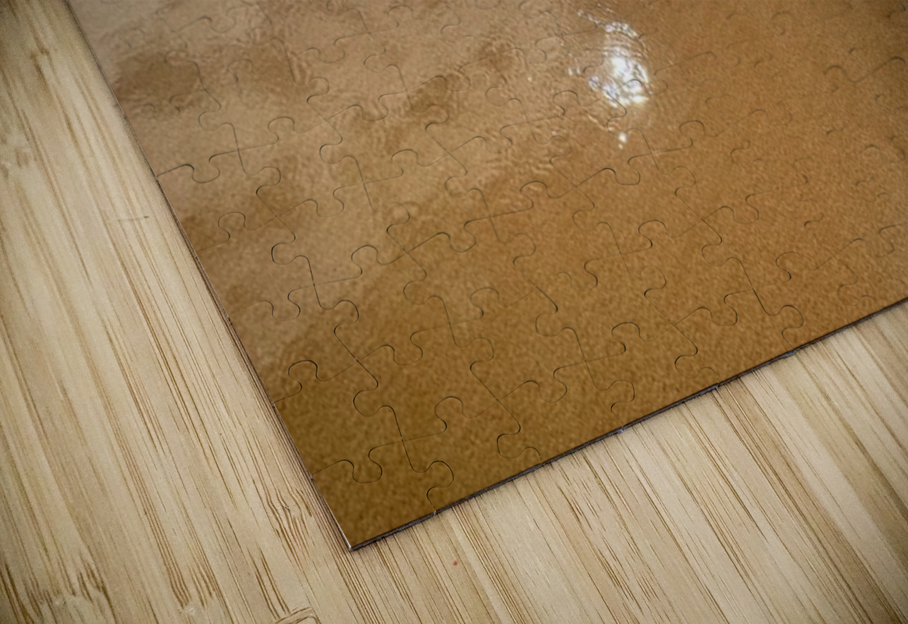 IMG 1038 Leslie Affeldt Photography Puzzle