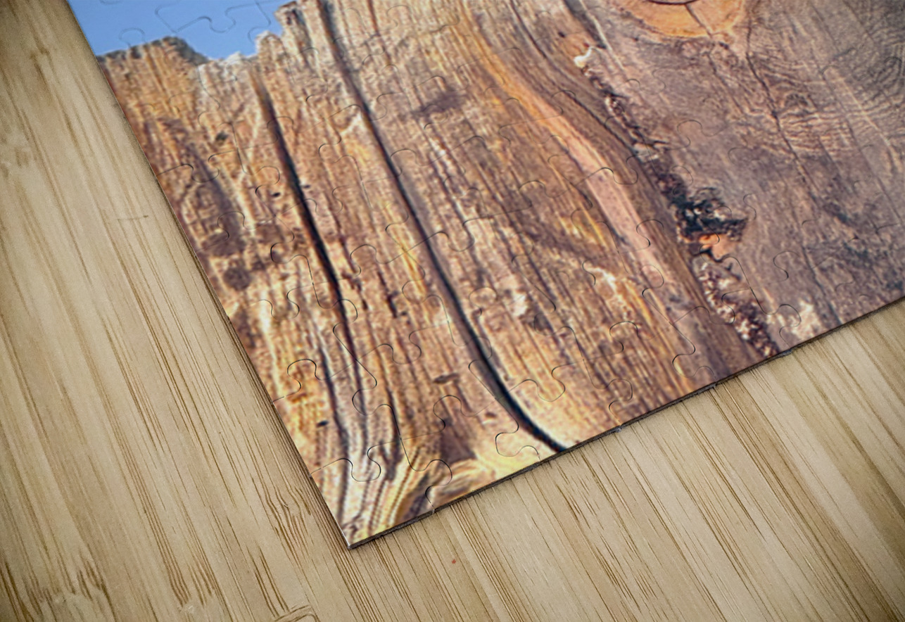 Raven - guardian of the Grand Canyon  Leslie Affeldt Photography Puzzle