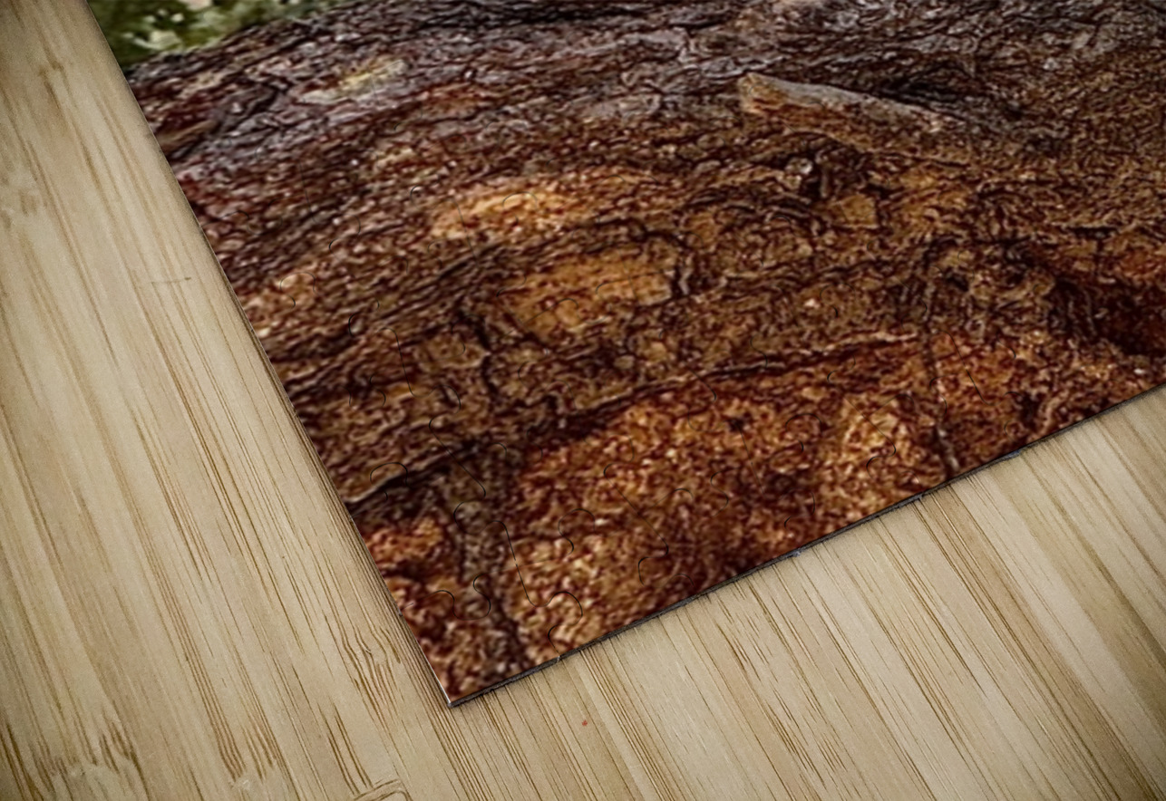 Albert’s Squirrel -2 Leslie Affeldt Photography Puzzle