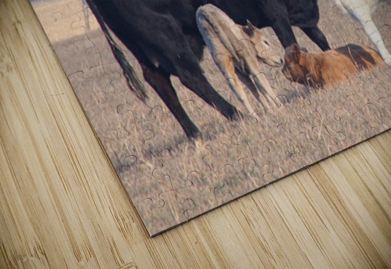 Calving Season Leslie Affeldt Photography Puzzle