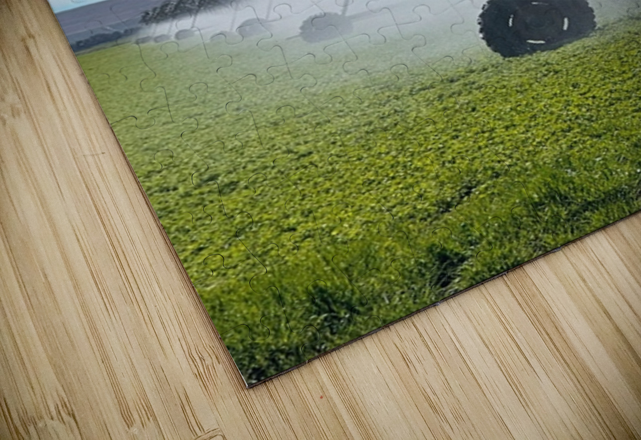 66B8AC6A 6571 4FAB 9070 E89EFFB74593 Leslie Affeldt Photography Puzzle