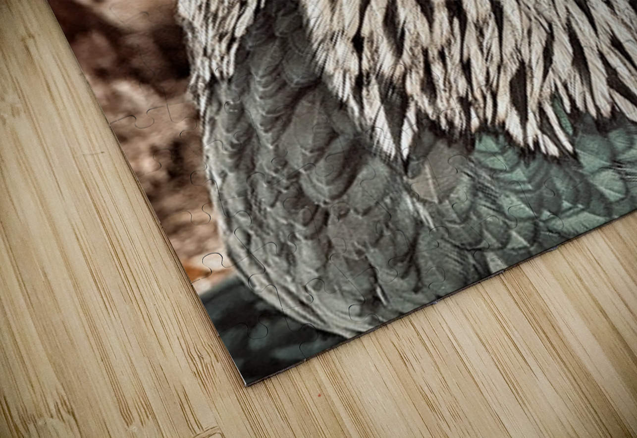 Rocky Leslie Affeldt Photography Puzzle