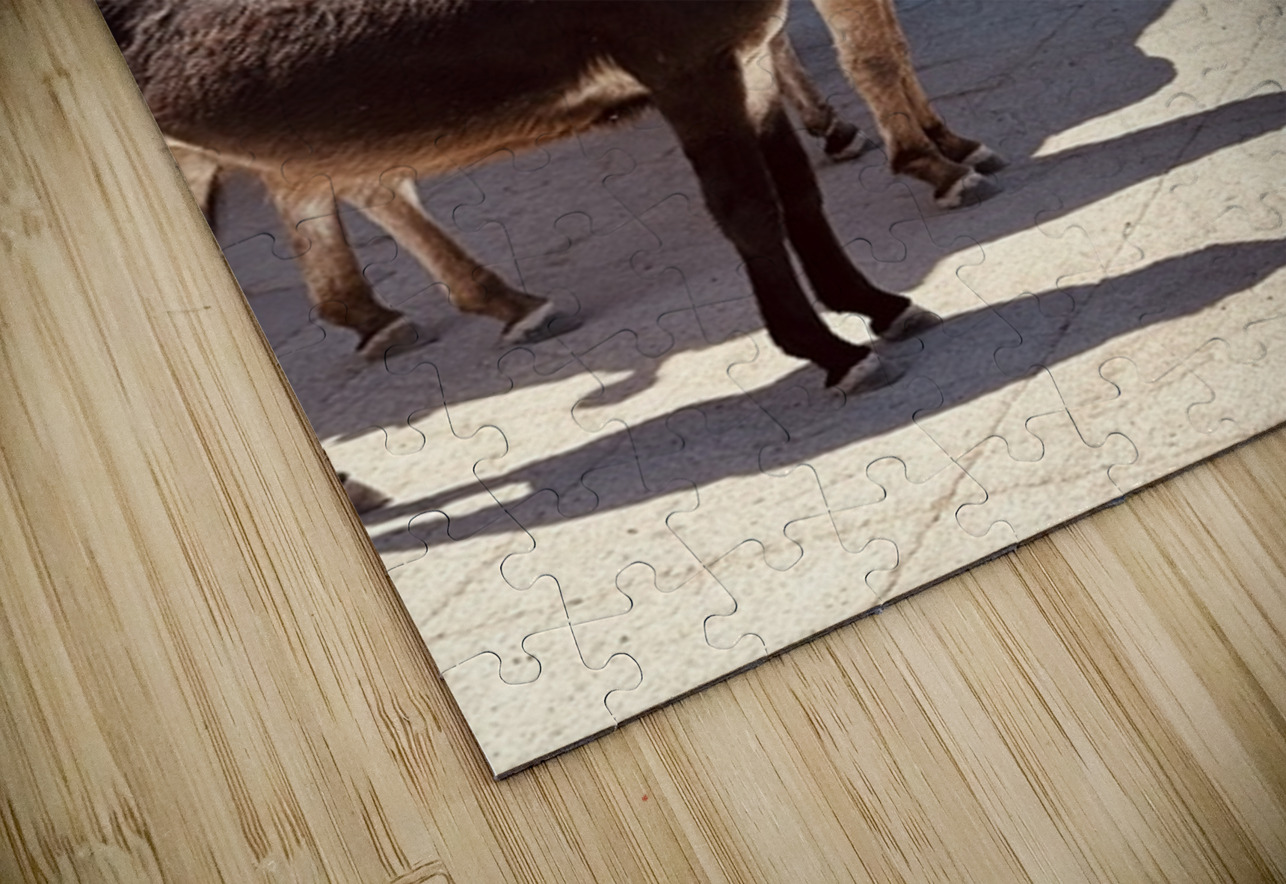 Guardians of Oatman Leslie Affeldt Photography Puzzle