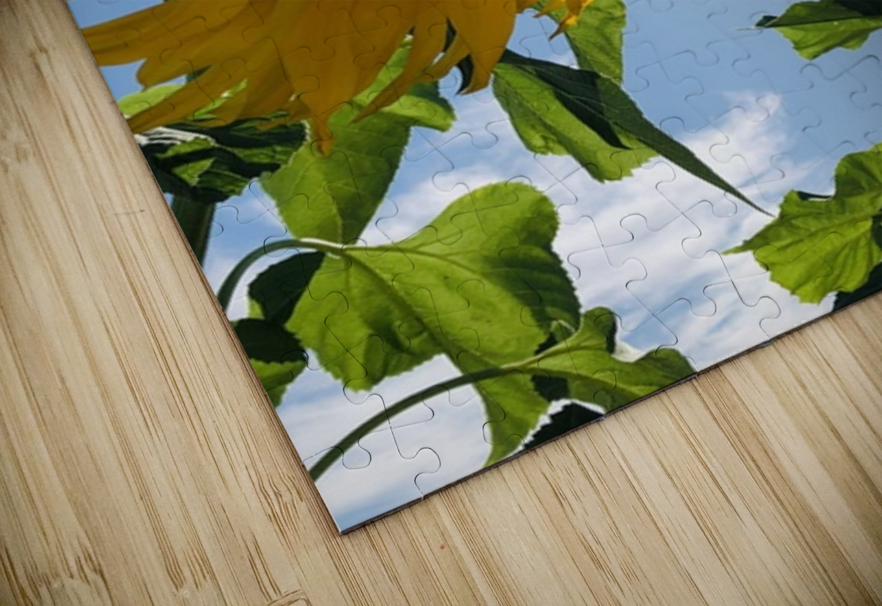 Sunflower Love Leslie Affeldt Photography Puzzle