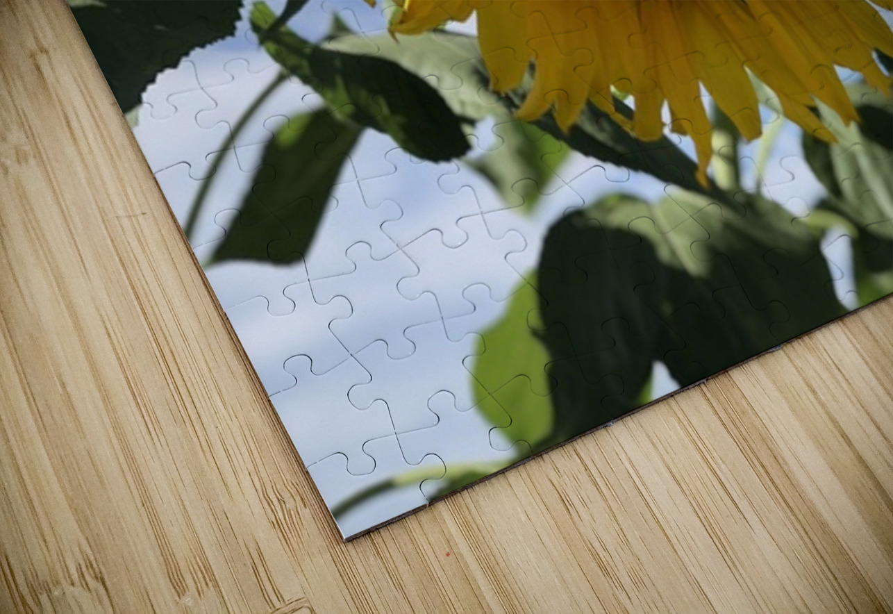 Sunflower Love -2 Leslie Affeldt Photography Puzzle