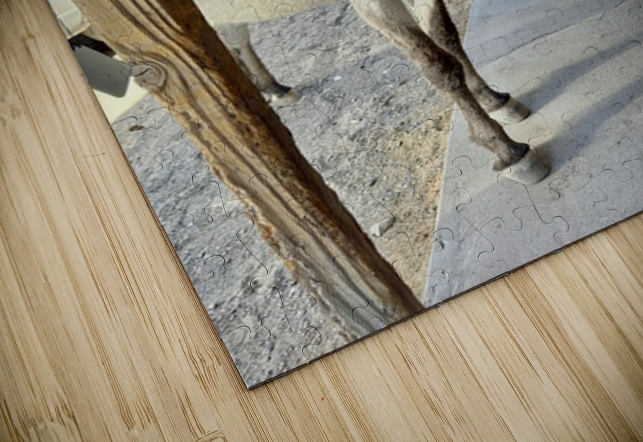 Miss Pickles Leslie Affeldt Photography Puzzle