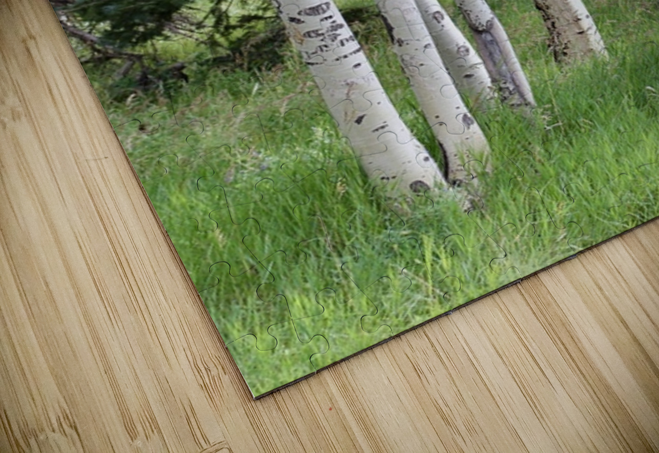 The Earth has music for those who listen. Aspens in Flagstaff Leslie Affeldt Photography Puzzle