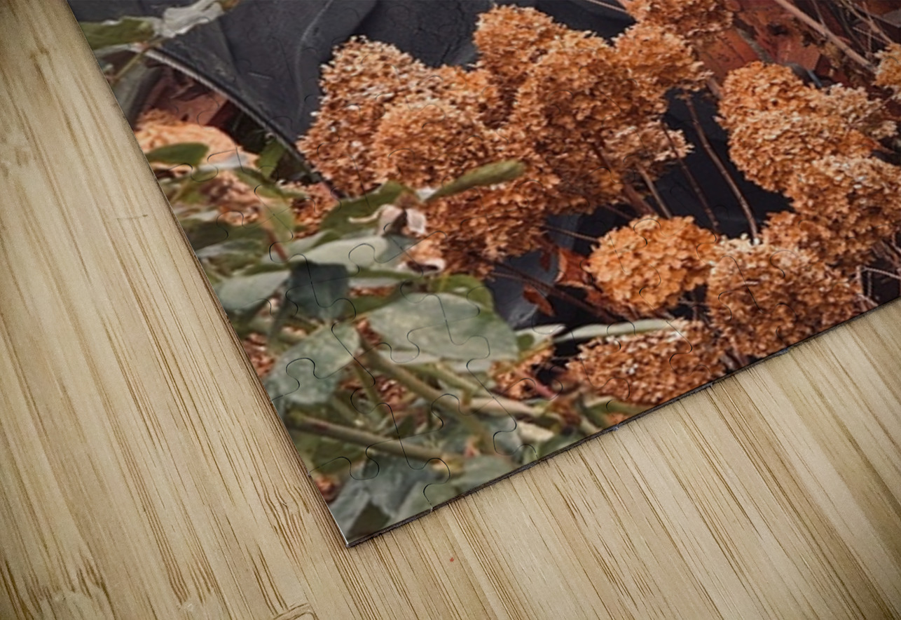 Something in the Orange. Vintage Farmall tractor Leslie Affeldt Photography Puzzle