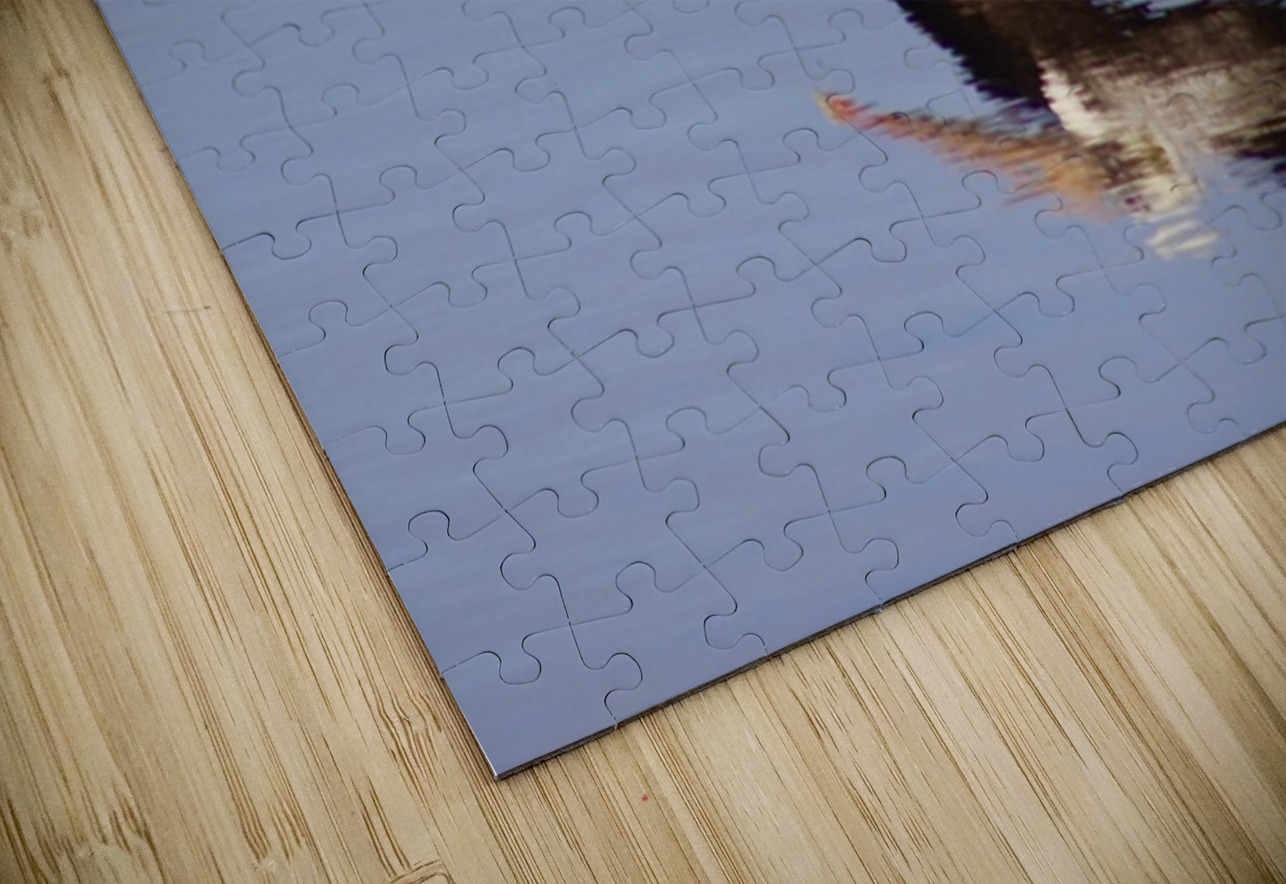 Reflection in Flight Leslie Affeldt Photography Puzzle