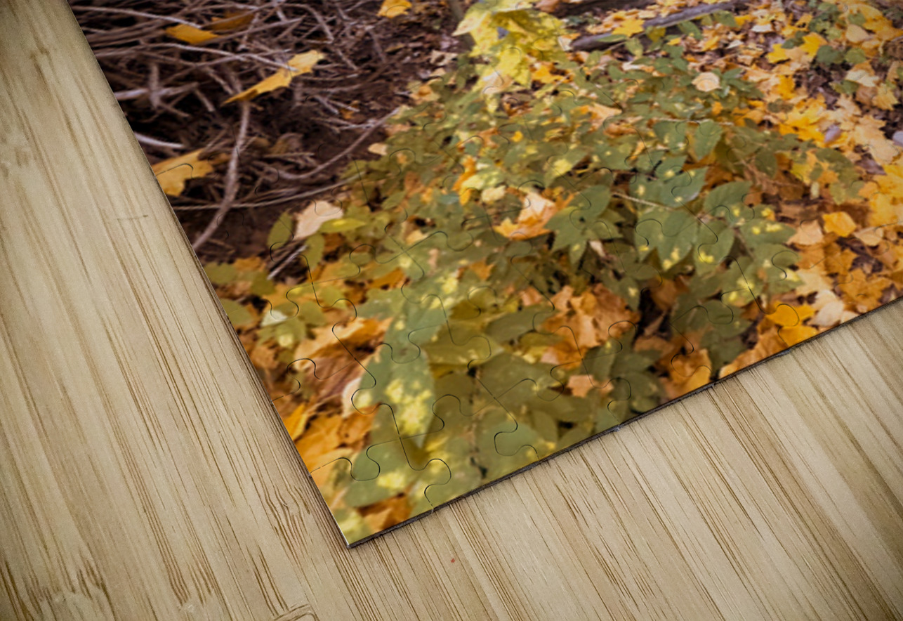 Autumn’s quiet retreat Leslie Affeldt Photography Puzzle
