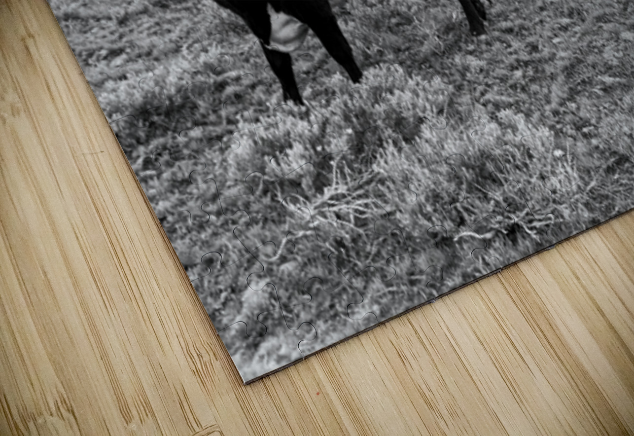 Outstanding in her field Leslie Affeldt Photography Puzzle