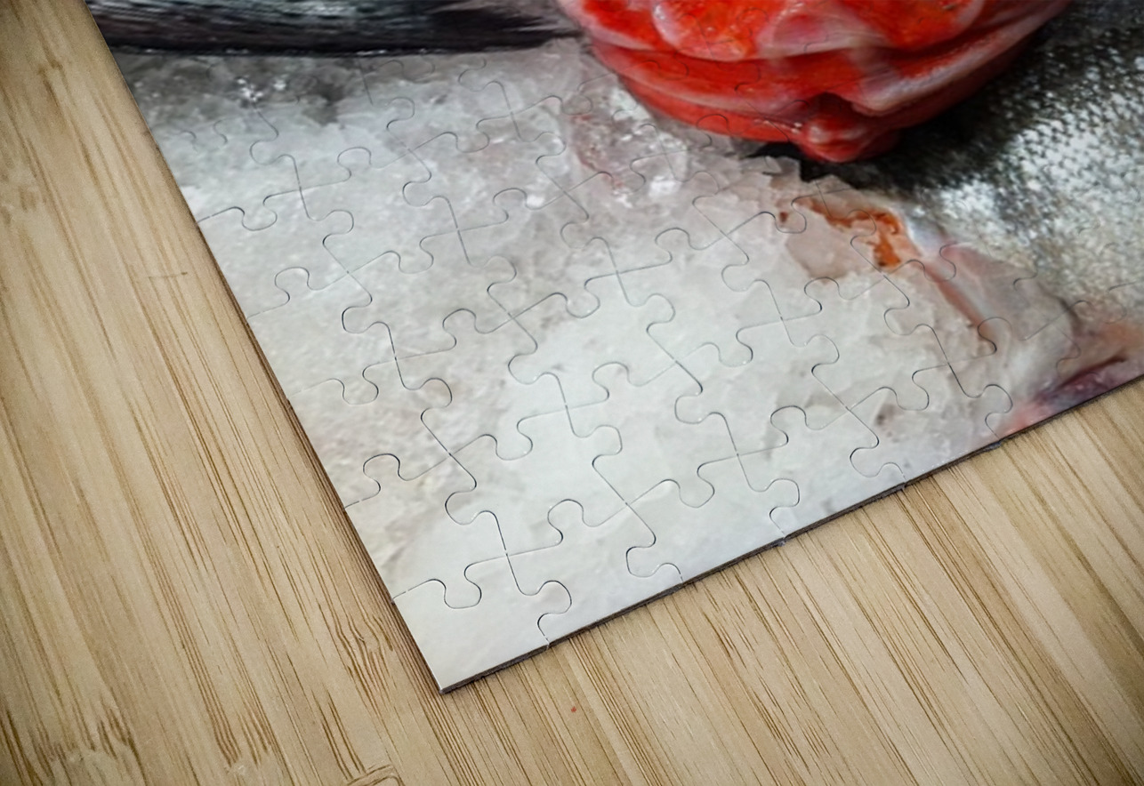 Something Fishy Leslie Affeldt Photography Puzzle