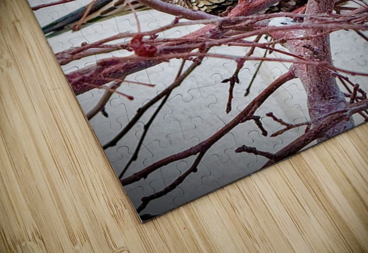 Winter Quail Leslie Affeldt Photography Puzzle