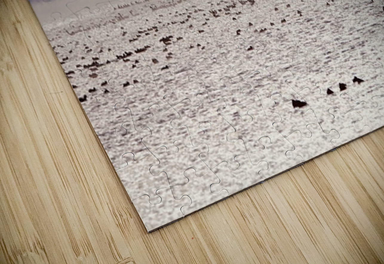 Beauty in the bitter cold - Columbia River 1 Leslie Affeldt Photography Puzzle