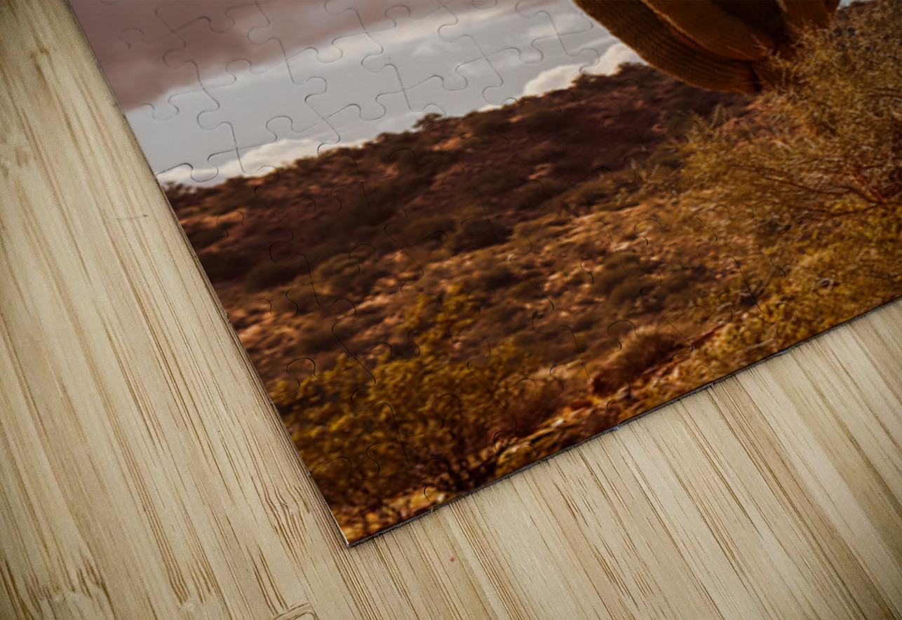 Sunlit Saguaro Leslie Affeldt Photography Puzzle