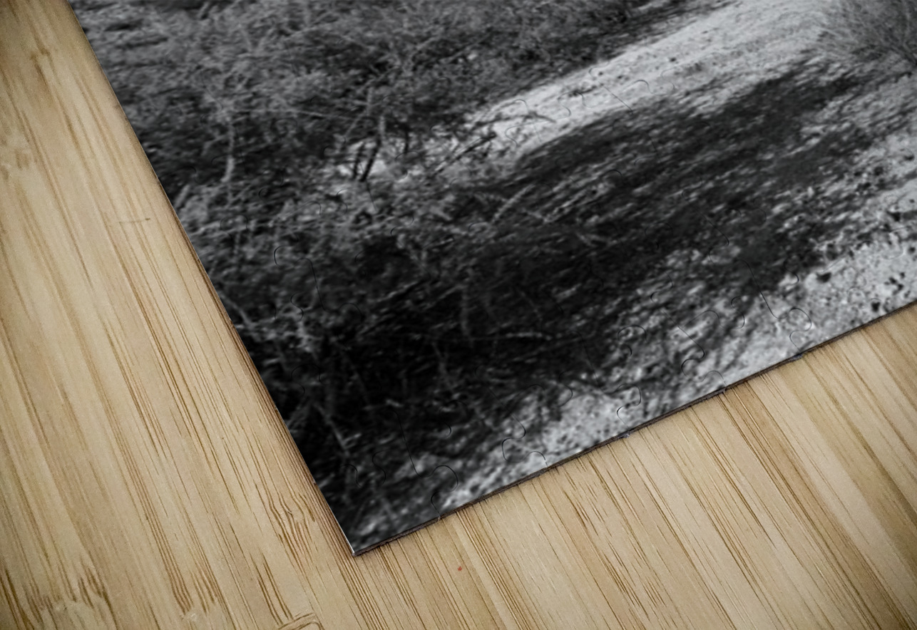 Fine Art Desert Leslie Affeldt Photography Puzzle