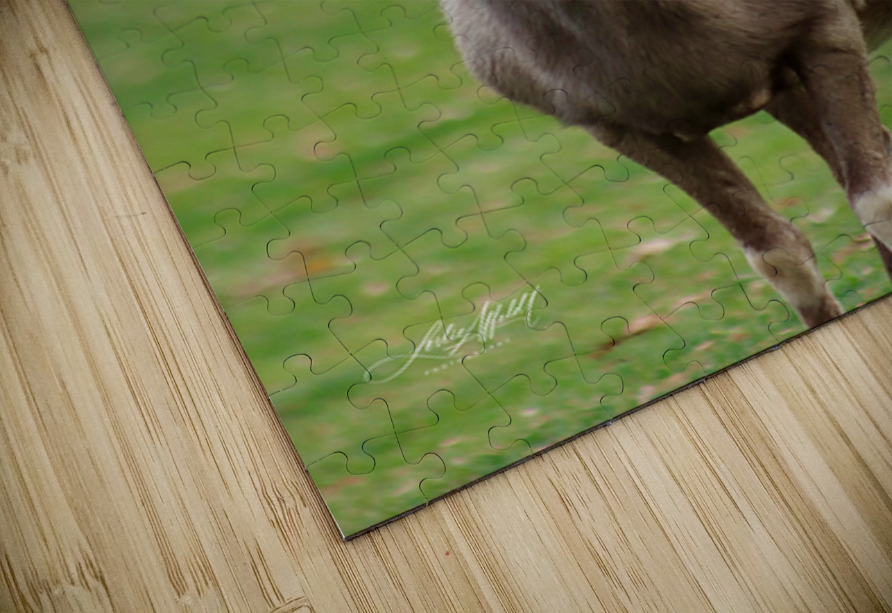 Bighorn Sheep - Nevada 1 Leslie Affeldt Photography Puzzle