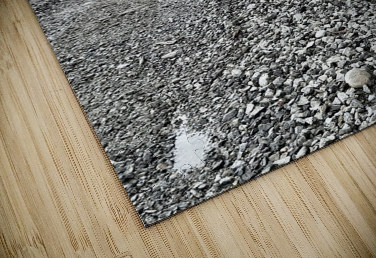 The Rail Yard Leslie Affeldt Photography Puzzle