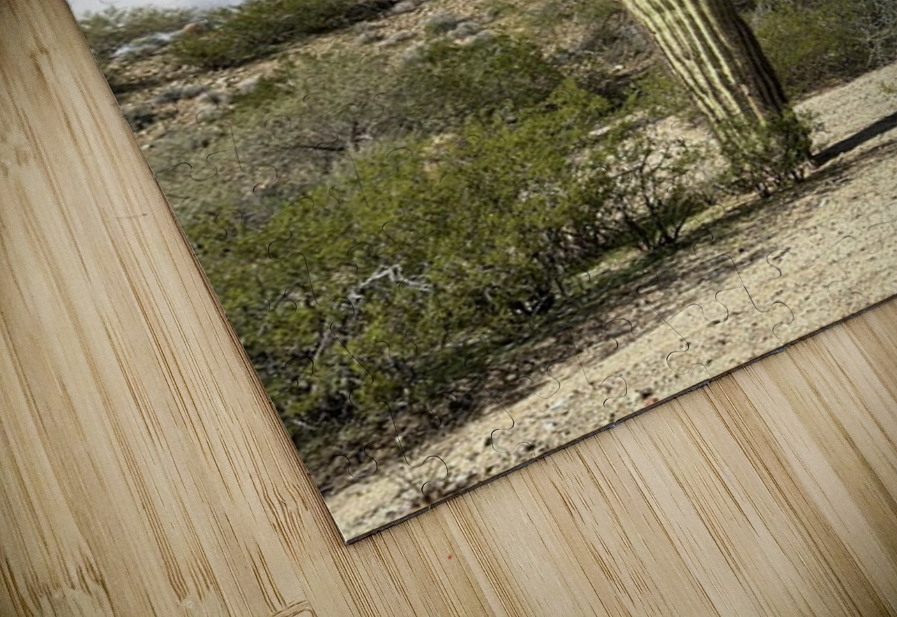 Old Man Saguaro Leslie Affeldt Photography Puzzle