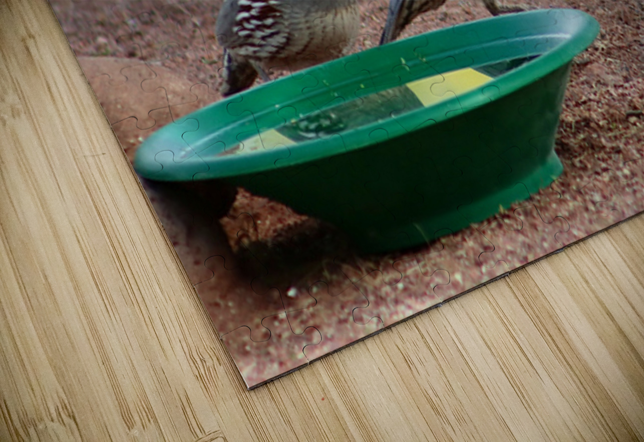 Ye Old Watering Hole Leslie Affeldt Photography Puzzle