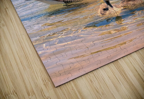 Little ripples big love  Leslie Affeldt Photography puzzle