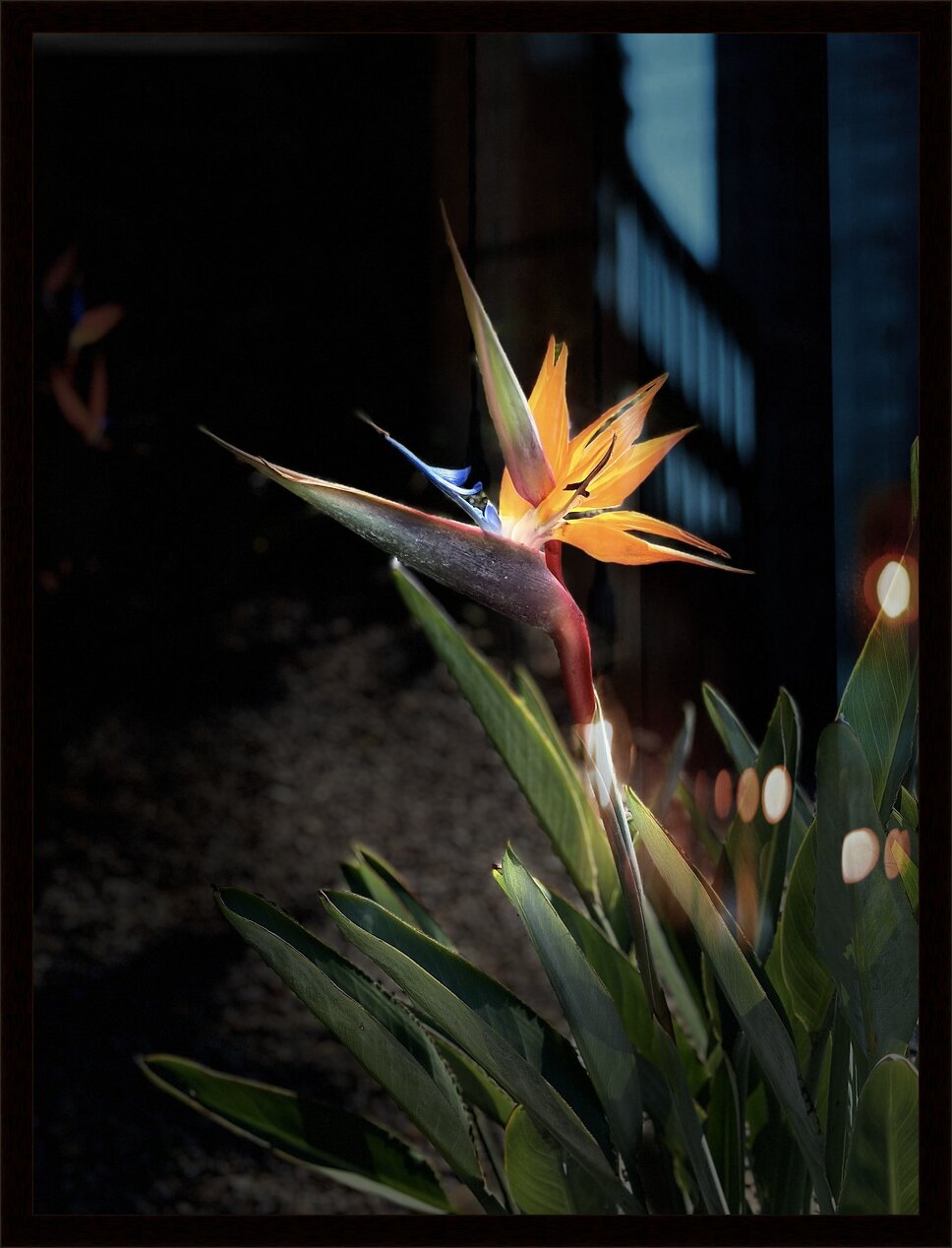 Impression de cadre personnalisé