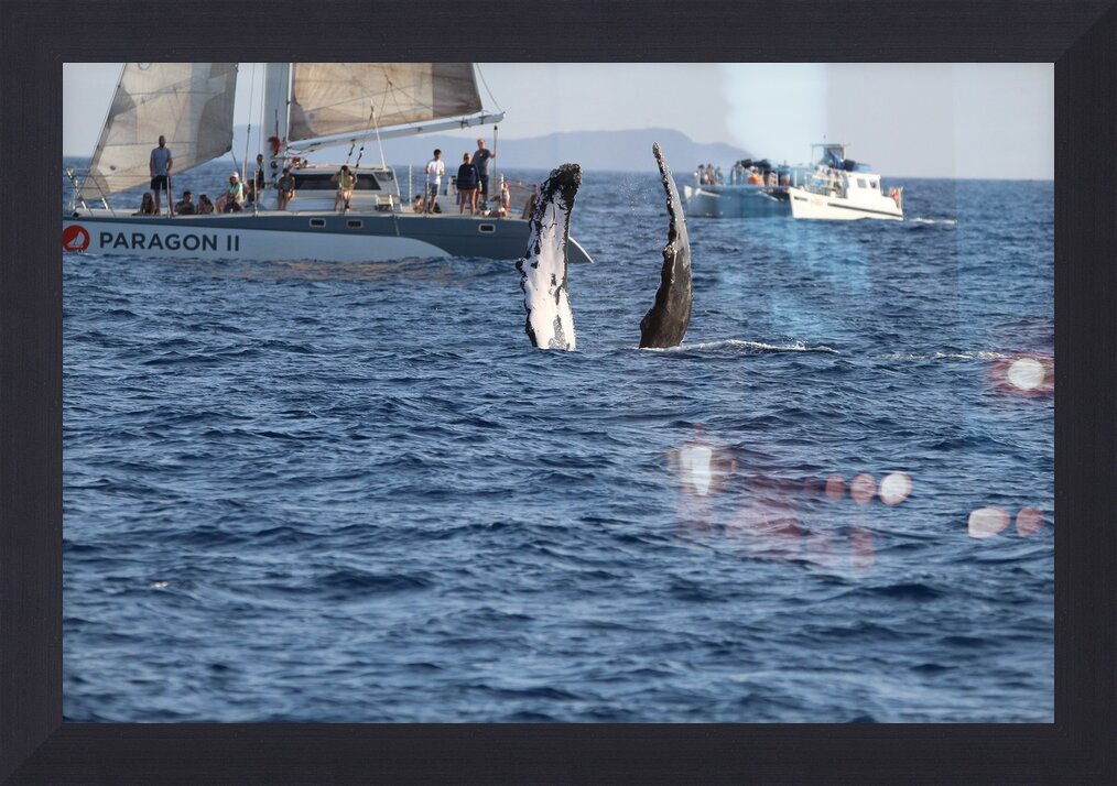 Impression de cadre personnalisé